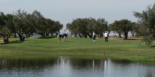 _Thalassa Sousse - Golf
